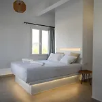 Apartamento Oliva Naxos Naxos City