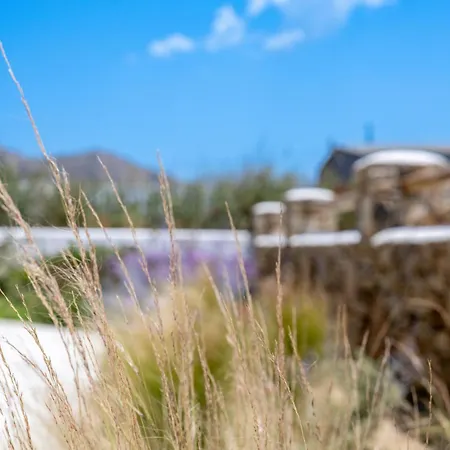 Lejlighed Oliva Naxos Naxos City