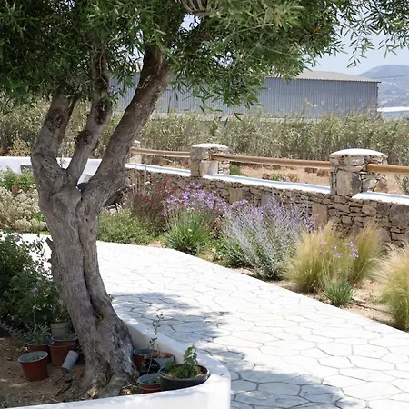 Oliva Naxos Apartment Naxos City