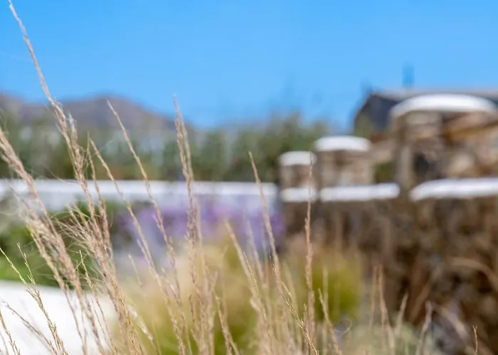 شقة Oliva Naxos Naxos City