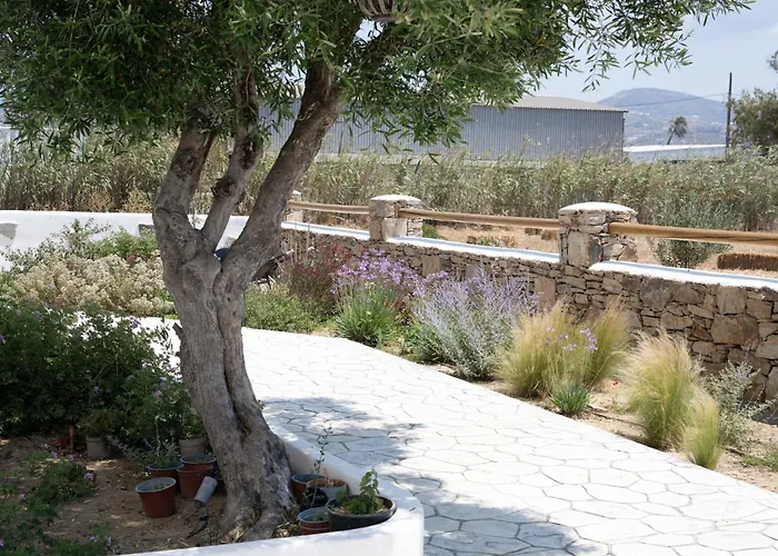 Oliva Naxos Lejlighed Naxos City